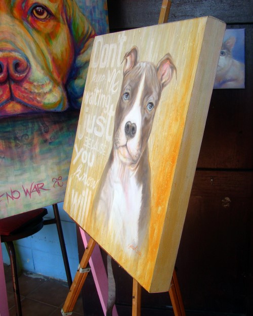 Pit Bull ภาพวาดสีน้ำมัน งานเพ้นท์บนเฟรมผ้าใบ canvas ขนาด 50x50 cm.