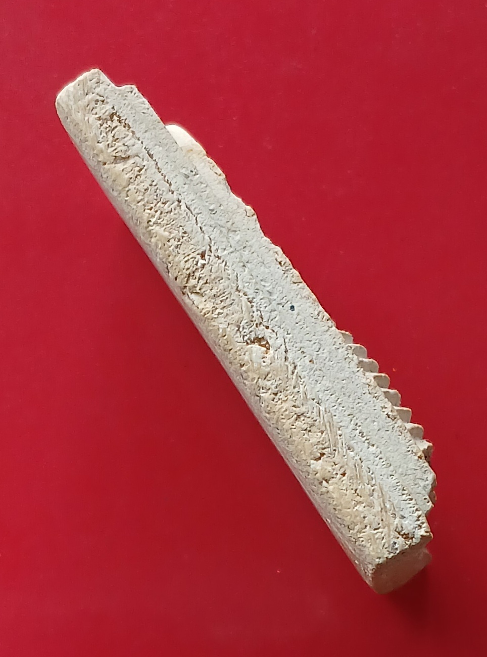 พระสมเด็จ 9 ชั้น หลวงปู่จันทร์ วัดศรีเทพ จ.นครพนม พิมพ์อกร่อง เนื้อขาวอมเหลือง s1