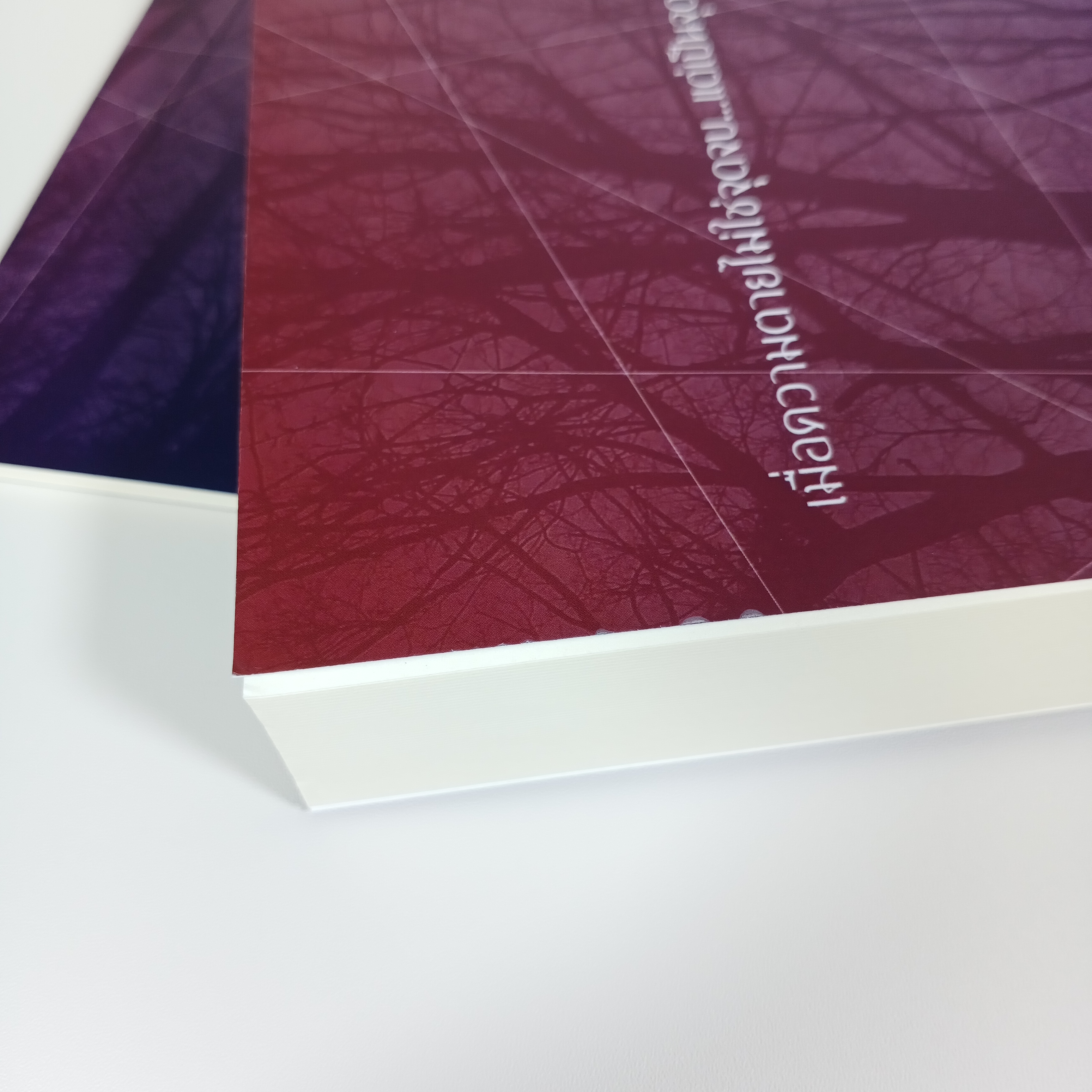 [นิยายวาย] ฤดูฝนที่ผมตาย + เล่มพิเศษ รอบจอง