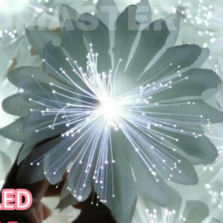 ไฟคริสมาส ไฟปีใหม่ ดอกไม้ไฟ LED flower light จำนวน 20 ดอก สายยาว 5.3 เมตร เเสงชมพู เหลือง ขาว มาพร้อมปลั๊กไฟ ใช้งานได้เลย / ใช้สำหรับเป็นไฟประดับตกเเต่ง ไฟเเฟนซีประดับอาคาร ไฟประดับต้นไม้ ไฟประดับต้นคริสมาส ไฟประดับปีใหม่ ไฟงานวัด ไฟเส้นตกเเต่ง