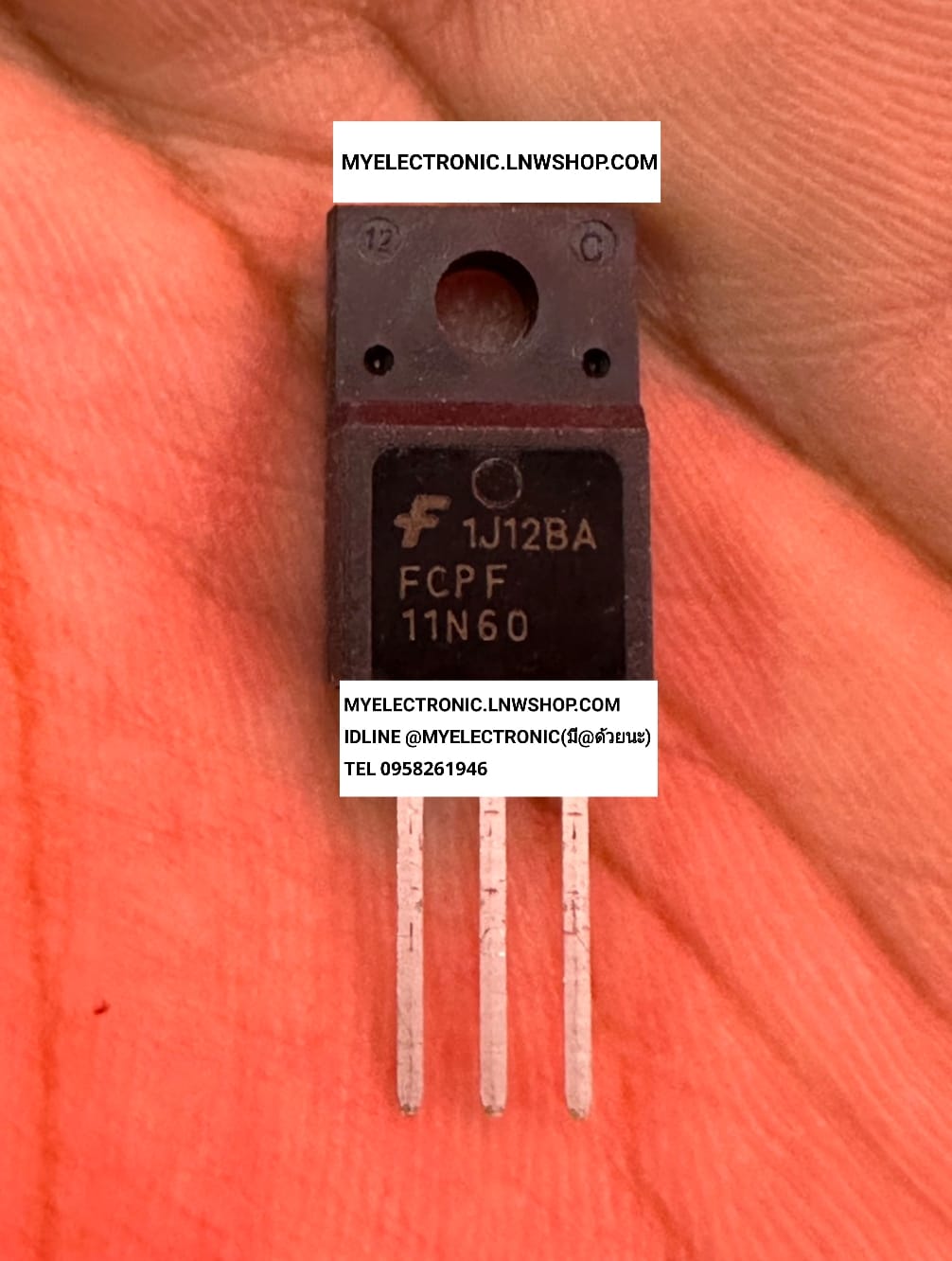 ขาย FCPF11N60 ตัวถังTO-220F ยี่ห้อ แฟรนไชส์ FAIRCHILD มอสเฟต มอสเฟส MOSFET ราคา ตัวละ . . . หน่วย บาท