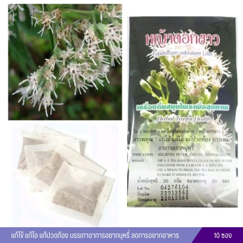 หญ้าดอกขาว ชาชงปฐม (ช่วยเลิกบุหรี่ ลดความอยากอาหาร)