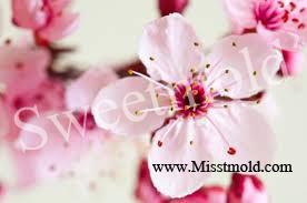 กลิ่นน้ำหอม กลิ่น Cherry Blossom (เชอรี่ บลอสซั่ม) ขนาด 100 ML