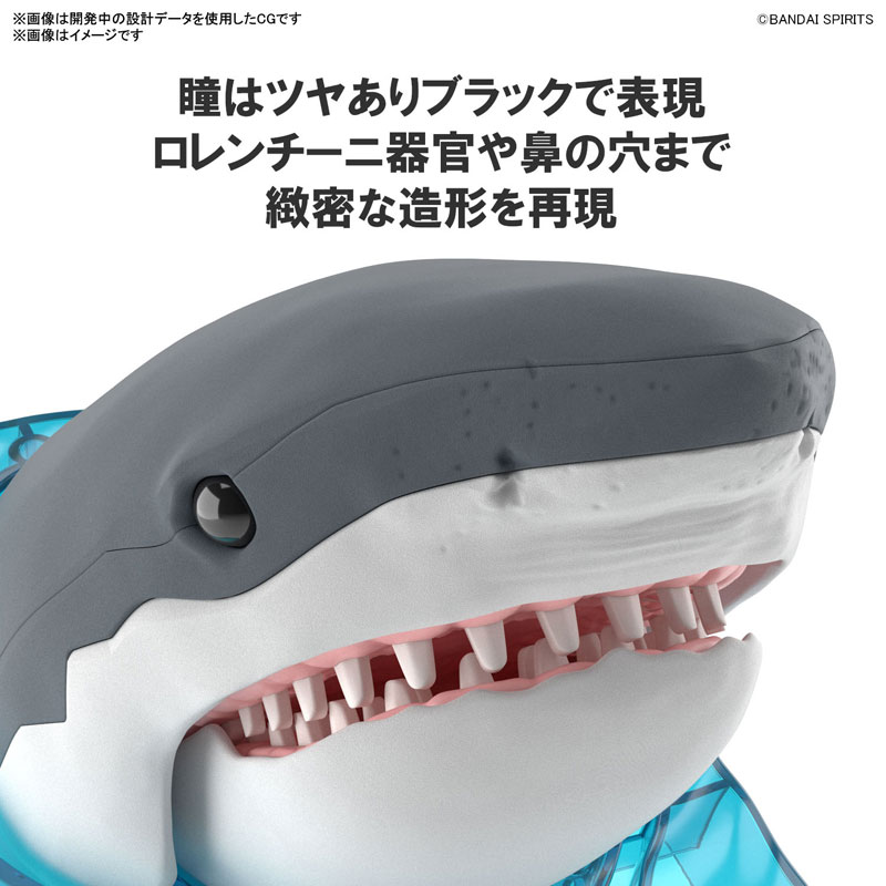 1063392 BANDAI SPIRITS Exploring Lab Nature Great White Shark