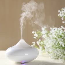 Fea' Ultrasonic mini Humidifier aroma diffuser (จินนี่) 100ml.