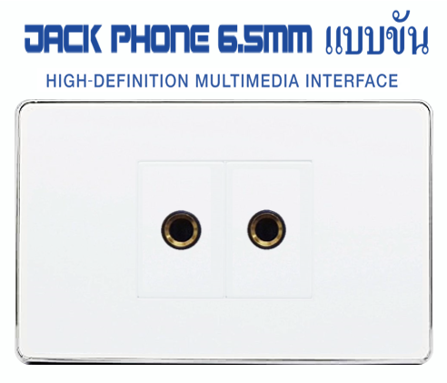Wall Plate Jack Phone 6.5mm (ขอบเงา)(2ช่อง)