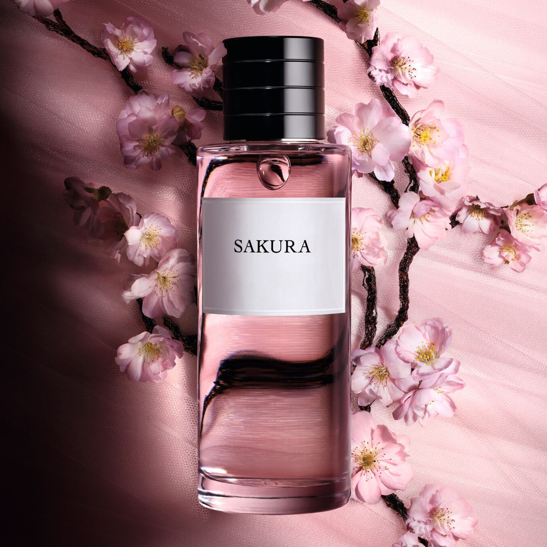 หัวน้ำหอมกลิ่น Classic Sakura Fragrance. CP/HP (Cold Process / Hot Process)