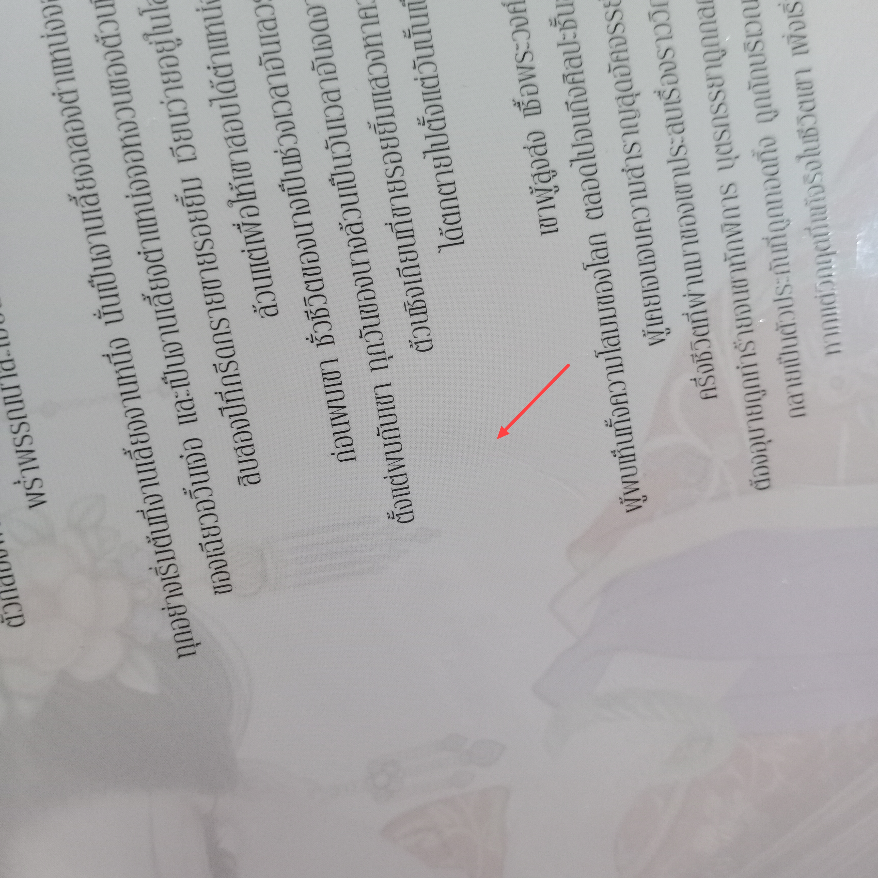 [นิยาย][มือ1] Boxset หงส์กรีดปีก เล่ม 1-2 / 4-7 (ไม่มีเล่ม 3)