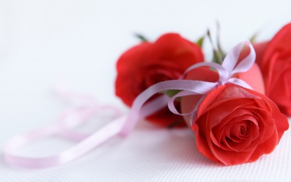 กลิ่น Oriental Rose Fragrance Oil ขนาด 450 ML