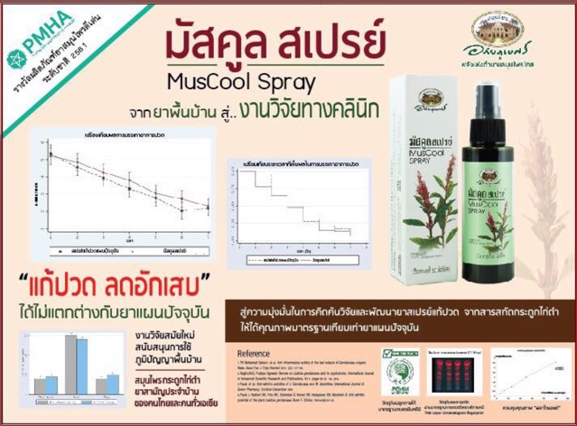 มัสคูลสเปรย์ "กระดูกไก่ดำ" อภัยภูเบศร