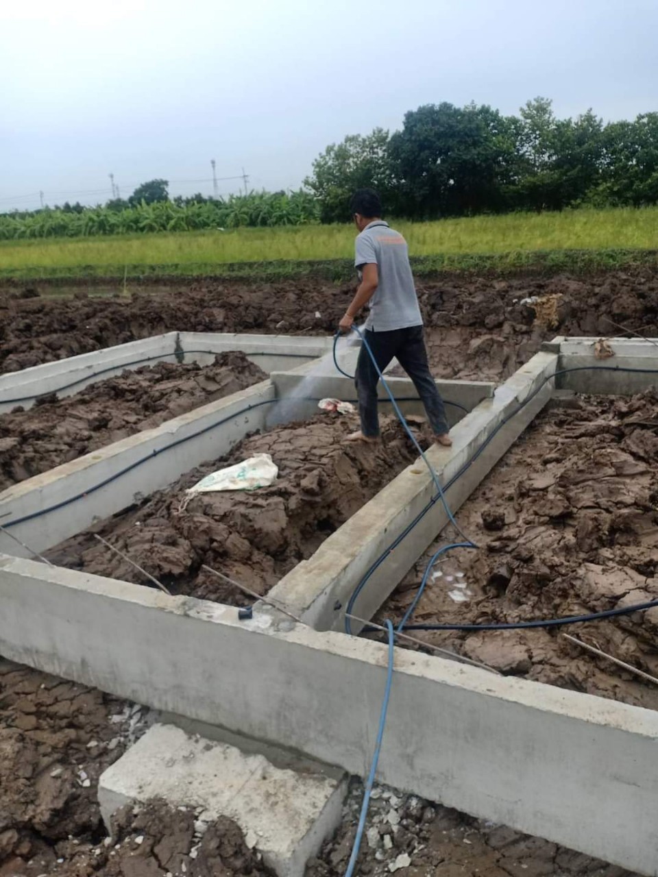 น้ำยากำจัดปลวก ตรา เครื่องบิน 3 ลิตร (สูตรใหม่ เข้มข้น)