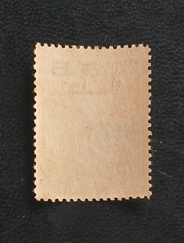 แสตมป์ ร.6 บำรุงเสือป่า ชุดแรก ปี 2462 ดวง 5+5 ส.ต.,10+5 ส.ต.ยังไม่ใช้ มีกาว