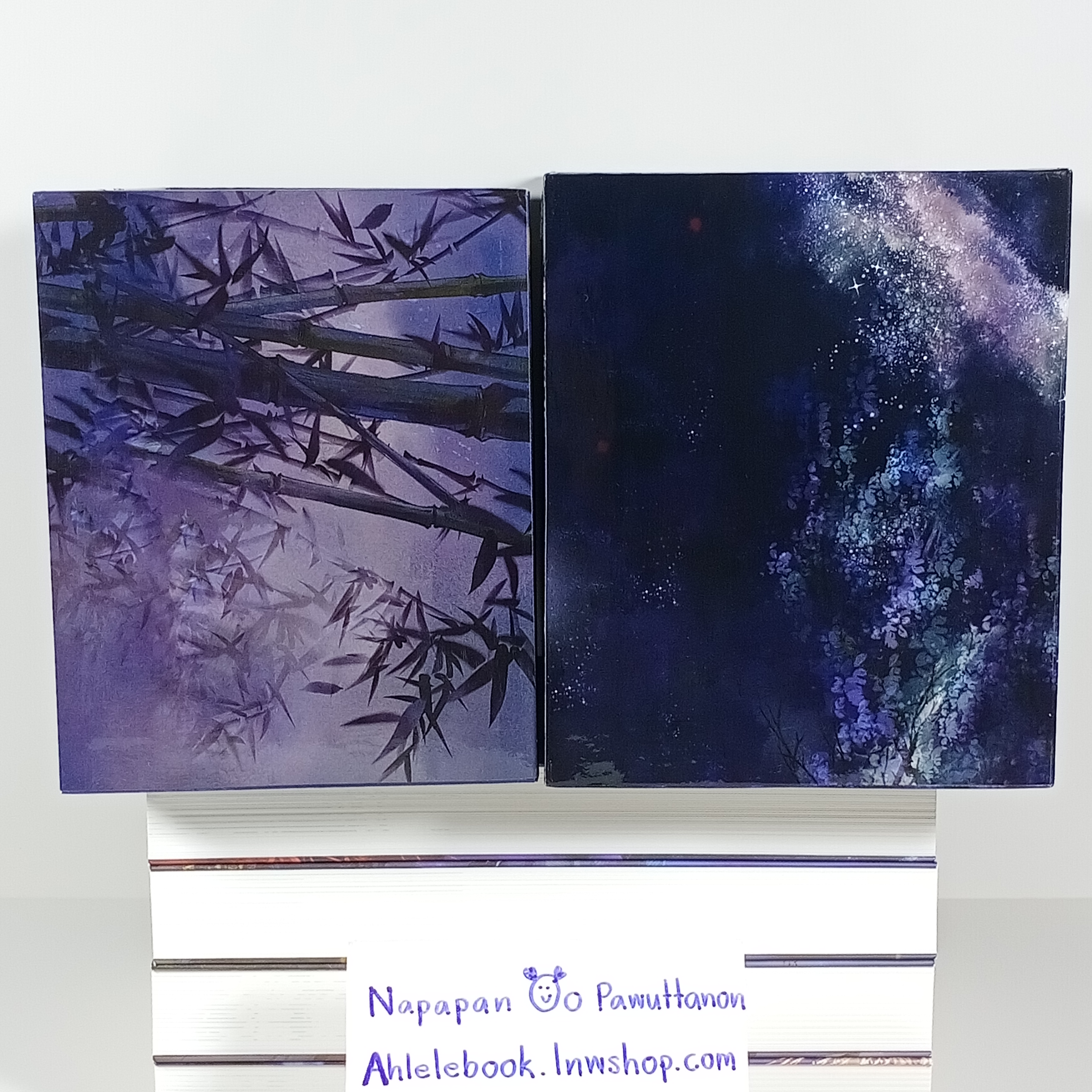 [นิยายแปลจีน] Boxset หย่งเยี่ย เล่ม 1-4 จบ รอบจอง