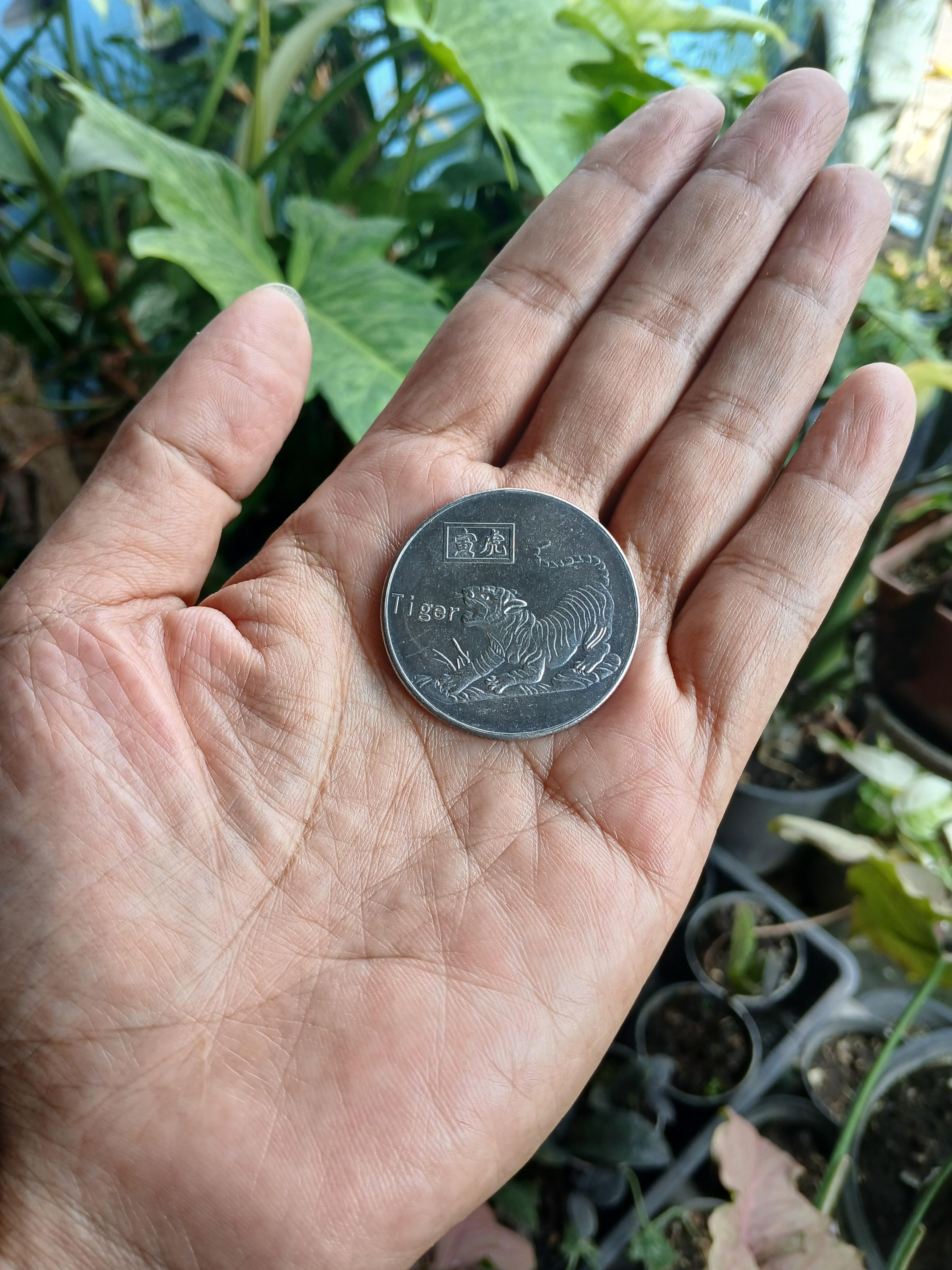 เหรียญเสือ ปีขาล tiger หลังตัวหนังสือจีน ขอบเฟือง เนื้ออัลปาก้า ขนาด 3.5 ซม.