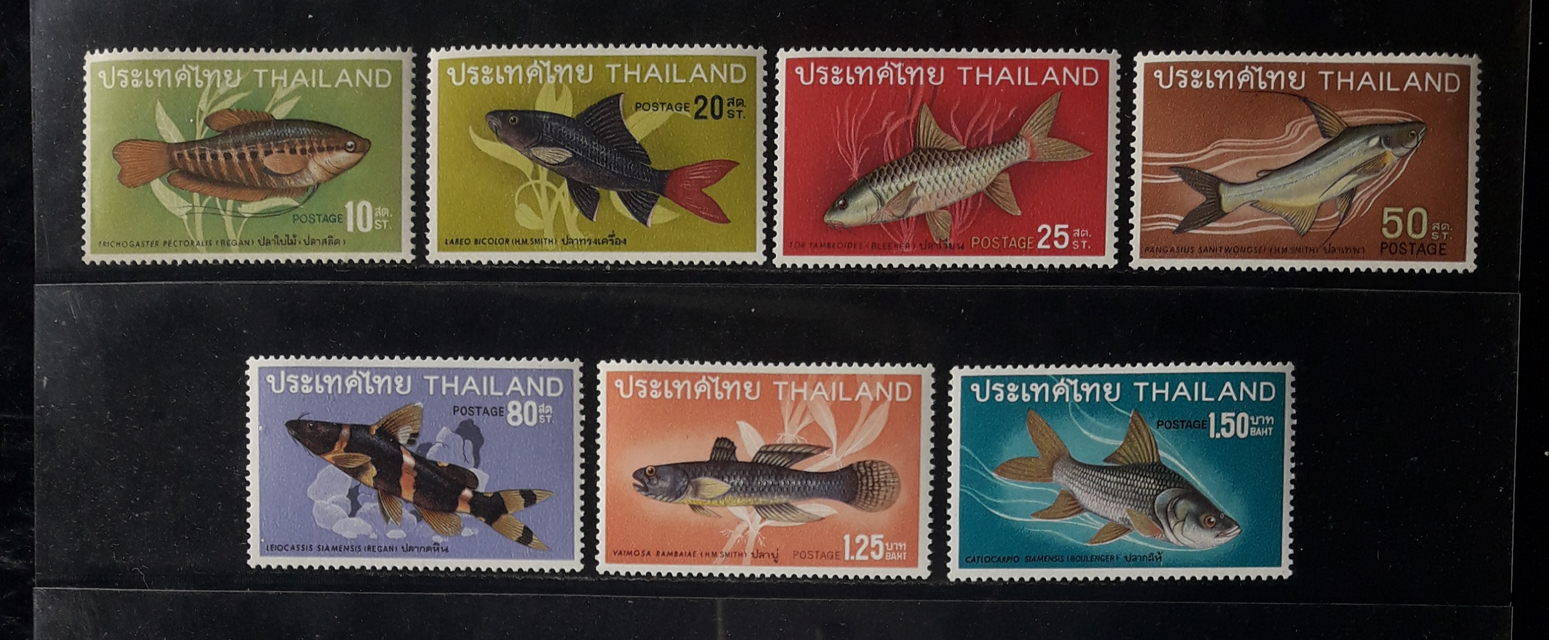s3356-แสตมป์ปลาไทย (ชุด2) ปี 2511 ยังไม่ใช้ จำนวน 7 ดวง ขาดดวงเดียวครบชุด นิยมหายาก ราคาเบา น่าสะสมครับ (ราคาตามคู่มือ 1300.-)