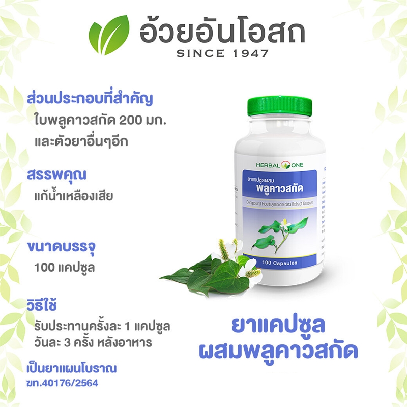 ยาแคปซูลผสมพลูคาวสกัด อ้วยอันโอสถ เฮอร์บัลวัน Herbal One