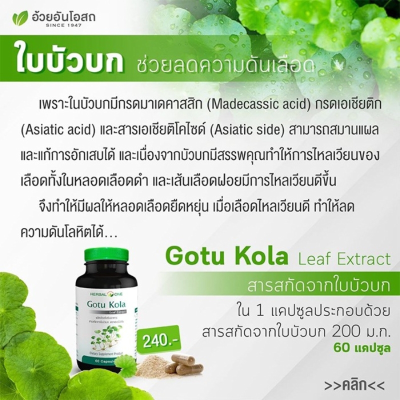 ใบบัวบกสกัดแคปซูล สารสกัดจากใบบัวบก อ้วยอันโอสถ เฮอร์บัลวัน