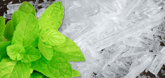 เกร็ดเมนทอล Menthol ขนาด1000กรัม : 001665