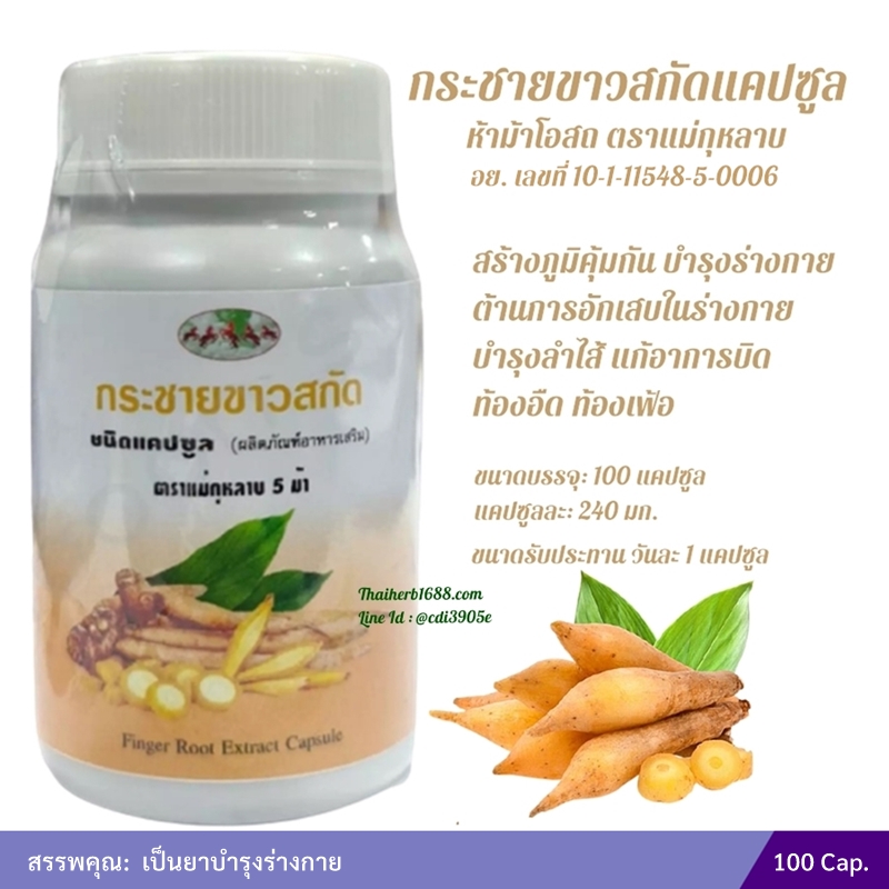 กระชายขาวสกัดแคปซูล ห้าม้าโอสถ ตราแม่กุหลาบ (ขวด)
