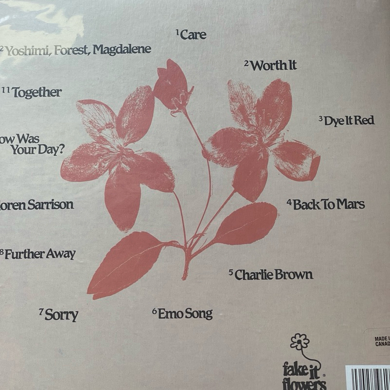 แผ่นเสียง beabadoobee – Fake It Flowers ,Vinyl, LP, Album USA, Canada , มือหนึ่ง