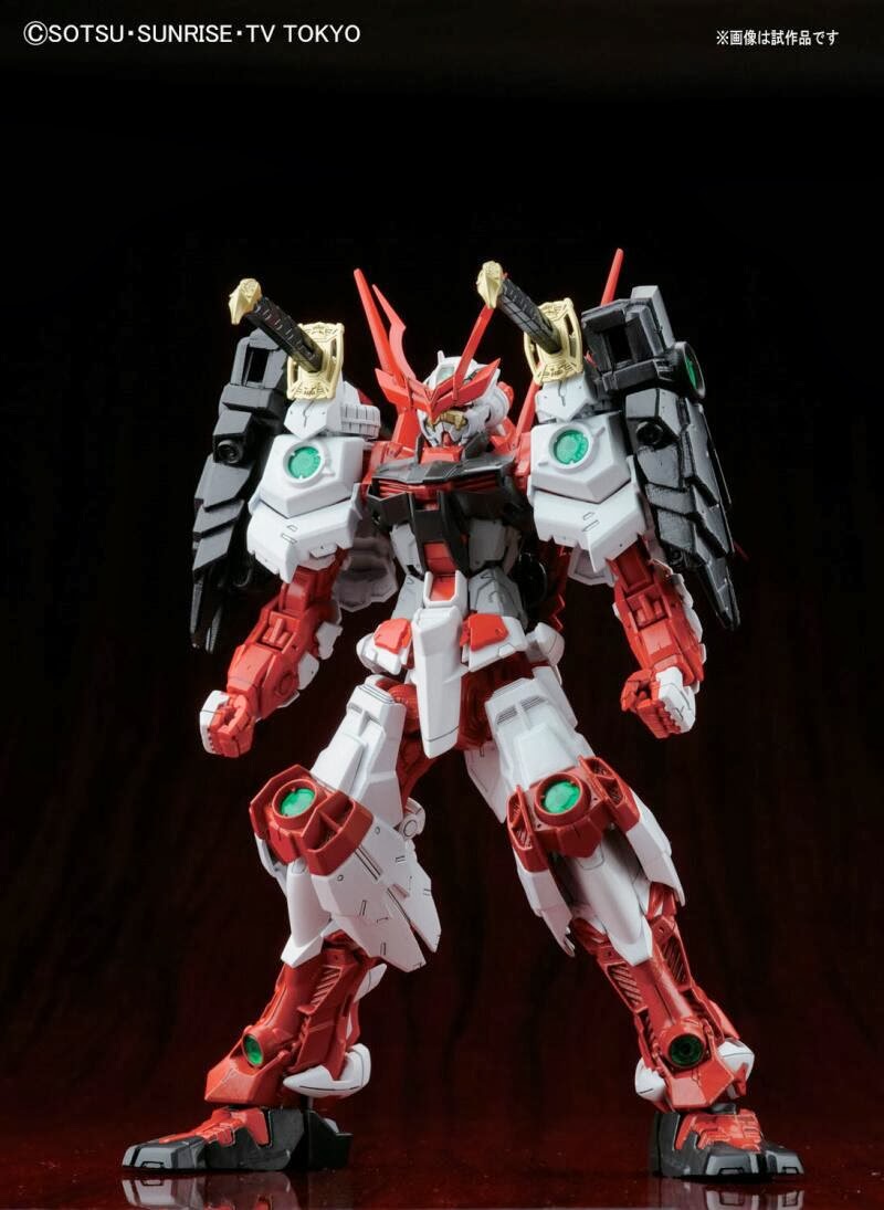 1066136 MG 1/100 Sengoku Astray Gundam