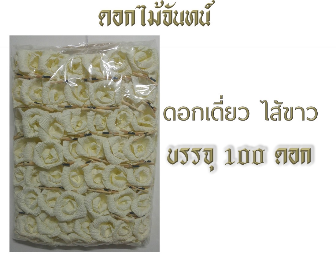 ดอกไม้จันทน์-ดอกเดี่ยว ไส้ขาว-บรรจุ100ดอก