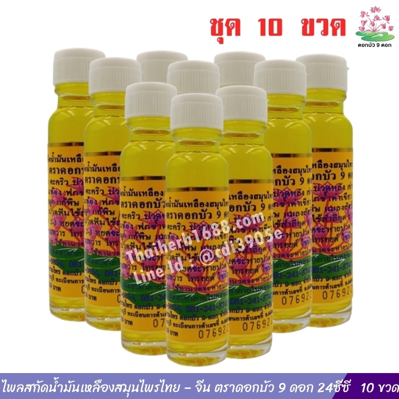 ไพลสกัดน้ำมันเหลืองสมุนไพรไทย – จีน ตราดอกบัว 9 ดอก 24 ซีซี (10 ขวด)
