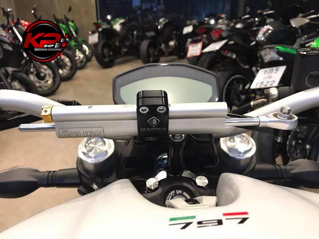ขาจับกันสะบัด DUCABIKE FOR DUCATI MONSTER1200