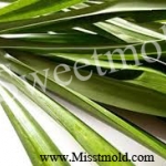 หัวน้ำหอมกลิ่นใบเตย ขนาด 450 ML