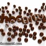 หัวน้ำหอมกลิ่นDark Chocolate ขนาด1000ML