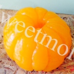 แม่พิมพ์ รูปส้ม 3 มิติ 1 ช่อง 002568 (สั่งผลิต)