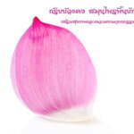 🌿 กรีบบัวแดง สมุนไพรพื้นบ้าน เสริมสุขภาพและความงามจากธรรมชาติ