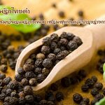 🌿 พริกไทยดำ สมุนไพรเครื่องเทศ เสริมสุขภาพและบำรุงร่างกาย