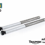 สปริงโช๊คหน้า OHLINS FSK110 FOR TRIMUPH THRUXTON 900 2008-2015