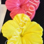 แม่พืมพ์รูป ดอกชบา 5ช่อง