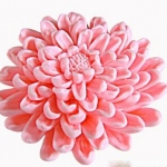 แม่พิมพ์ซิลิโคน รูปดอกไม้ 3D 1 ช่อง 55 g -000681