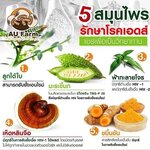 โรคเอดส์ (AIDS) สมุนไพร รักษาเอดส์
