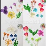 ดอกไม้แห้งตกแต่งสบู่Diy ต่อ1ชิ้น