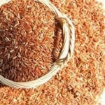 สารสกัด ข้าวกล่องงอก 100 ml. - 003828