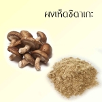 ผงเห็ดชิตาเกะ 50 กรัม รหัสสินค้า : 004726 ราคา 80.00