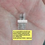 ขาย หลอดไฟ24V5W หลอดเสียบ24V5W อ้วน10มม.ยาว25มม. 10×25MM. ราคาหลอดละ บาท