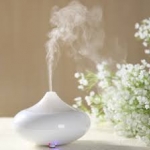 Fea' Ultrasonic mini Humidifier aroma diffuser (จินนี่) 100ml.