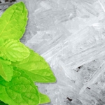 เกร็ดเมนทอล Menthol ขนาด1000กรัม : 001665