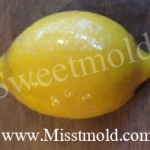 แม่พิมพ์เลม่อน ขนาด120กรัม 5ช่อง :1001824