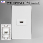Wall plate USB (F/F) สำหรับต่อตอมพิวเตอร์