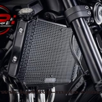 การ์ดหม้อน้ำ EVOTECH Z900RS