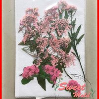 ดอกไม้แห้งตกแต่งจากธรรมชาติDiy(แบบที่15) : 007486