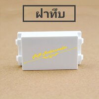 ฝาปิดช่อง