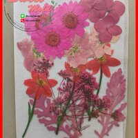 ดอกไม้แห้งตกแต่งจากธรรมชาติDiy(แบบที่6) รหัสสินค้า: 007477