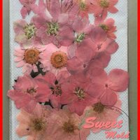 ดอกไม้แห้งตกแต่งจากธรรมชาติDiy(แบบที่8) : 007479